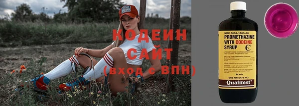 spice Карпинск