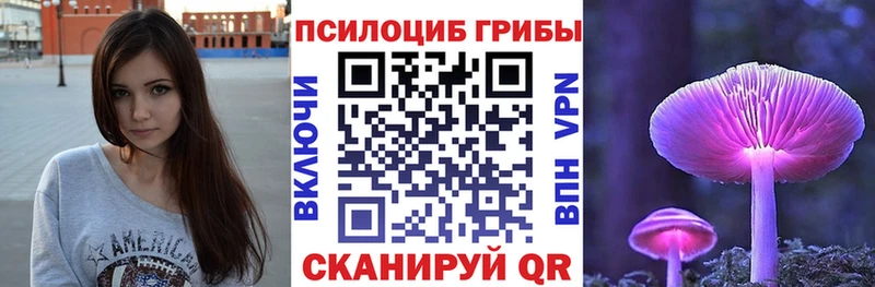 Псилоцибиновые грибы мицелий  наркотики  сайты даркнета официальный сайт  Тара 